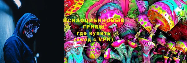 стаф Беломорск