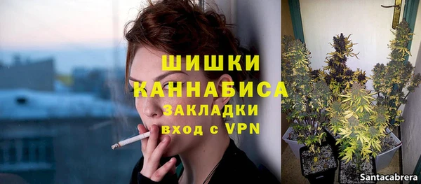 PSILOCYBIN Белокуриха