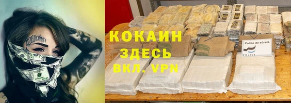 PSILOCYBIN Белокуриха