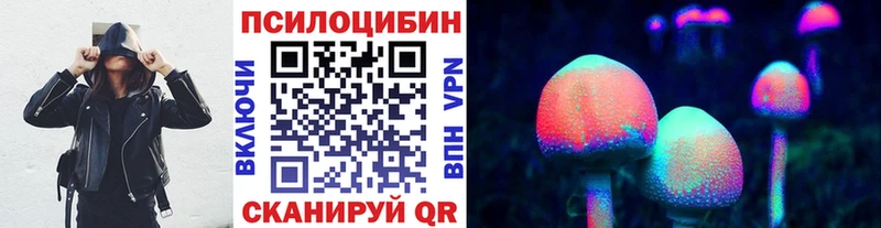 Галлюциногенные грибы мицелий  наркота  Светлогорск 